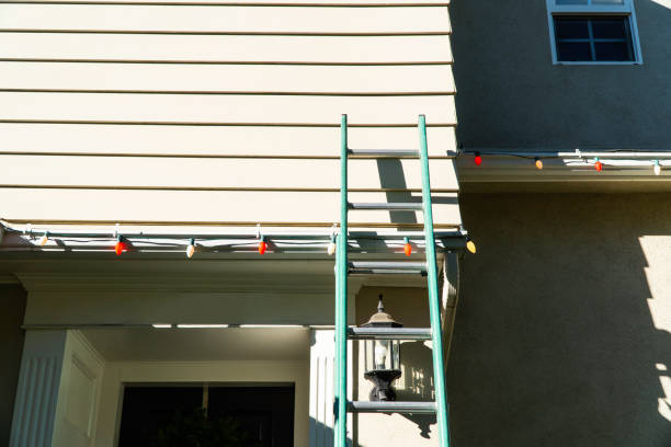 Best Storm Damage Siding Repair  in Roscoe, IL