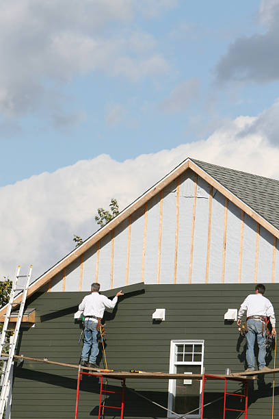 Best Steel Siding Installation  in Roscoe, IL