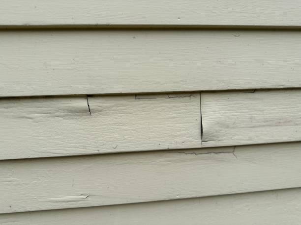 Best Stone Veneer Siding  in Roscoe, IL